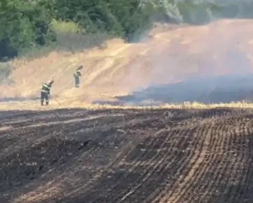 Foto: Incendiu cu miză penală și politică la Ciupercenii Vechi: 30 de hectare arse în zona protejată Balta Jdegla