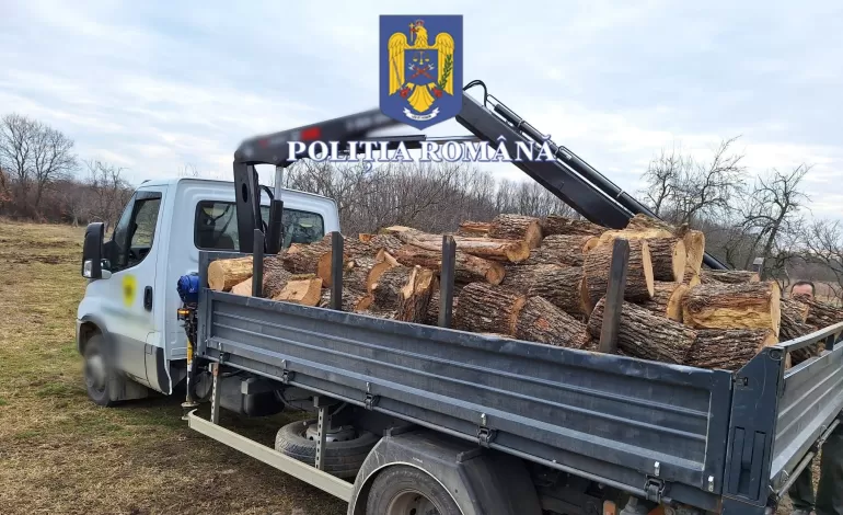 Foto: Cercetat pentru infracțiuni silvice