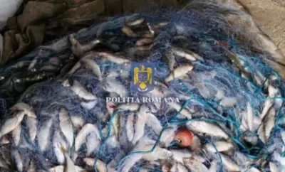 Foto: 200 metri de plase monofilament, confiscate de polițiști