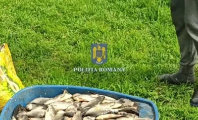 Foto: 200 metri de plase monofilament, confiscate de polițiști