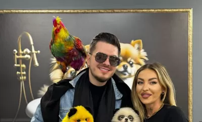 Foto: Primul cocoș vopsit profesionist din România, scos la licitație pentru 5000€