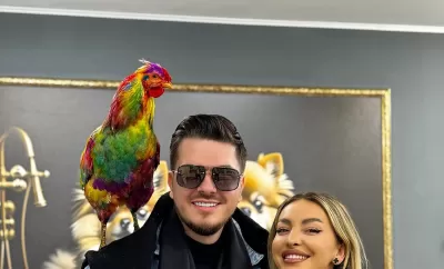 Foto: Primul cocoș vopsit profesionist din România, scos la licitație pentru 5000€