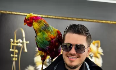 Foto: Primul cocoș vopsit profesionist din România, scos la licitație pentru 5000€