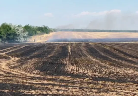 Imagine Incendiu cu miză penală și politică la Ciupercenii Vechi: 30 de hectare arse în zona protejată Balta Jdegla