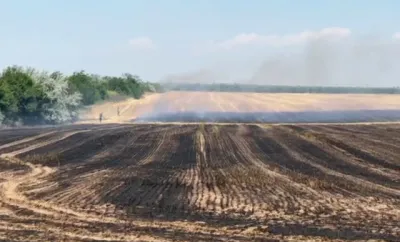 Foto: Incendiu cu miză penală și politică la Ciupercenii Vechi: 30 de hectare arse în zona protejată Balta Jdegla