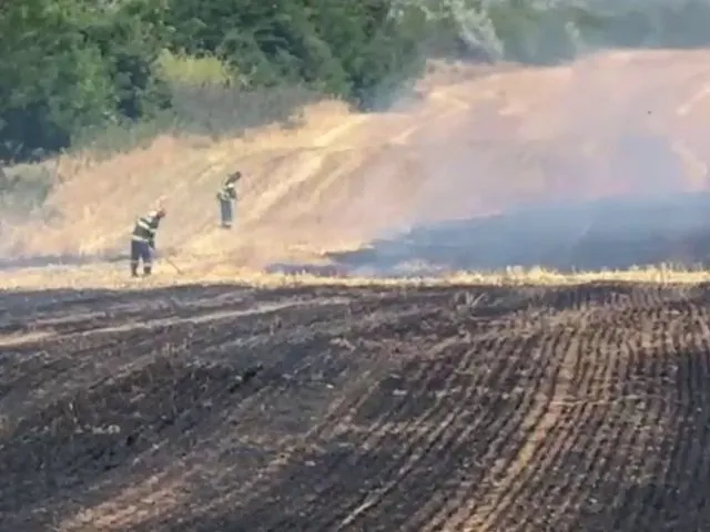 Foto: Incendiu cu miză penală și politică la Ciupercenii Vechi: 30 de hectare arse în zona protejată Balta Jdegla
