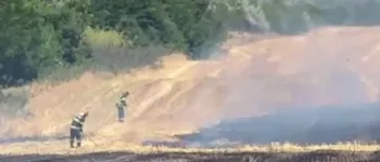 Foto: Incendiu cu miză penală și politică la Ciupercenii Vechi: 30 de hectare arse în zona protejată Balta Jdegla
