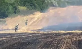 Foto: Incendiu cu miză penală și politică la Ciupercenii Vechi: 30 de hectare arse în zona protejată Balta Jdegla