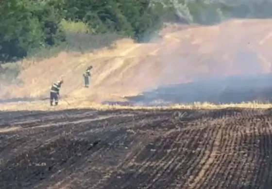 Foto: Incendiu cu miză penală și politică la Ciupercenii Vechi: 30 de hectare arse în zona protejată Balta Jdegla