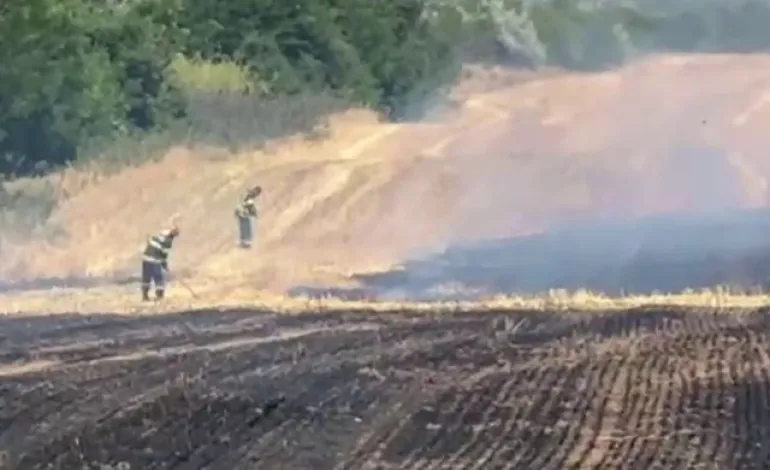 Foto: Incendiu cu miză penală și politică la Ciupercenii Vechi: 30 de hectare arse în zona protejată Balta Jdegla