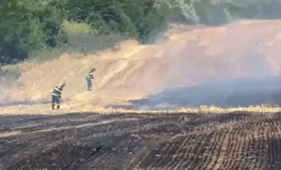 Incendiu cu miză penală și politică la Ciupercenii Vechi: 30 de hectare arse în zona protejată Balta Jdegla