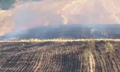 Foto: Incendiu cu miză penală și politică la Ciupercenii Vechi: 30 de hectare arse în zona protejată Balta Jdegla