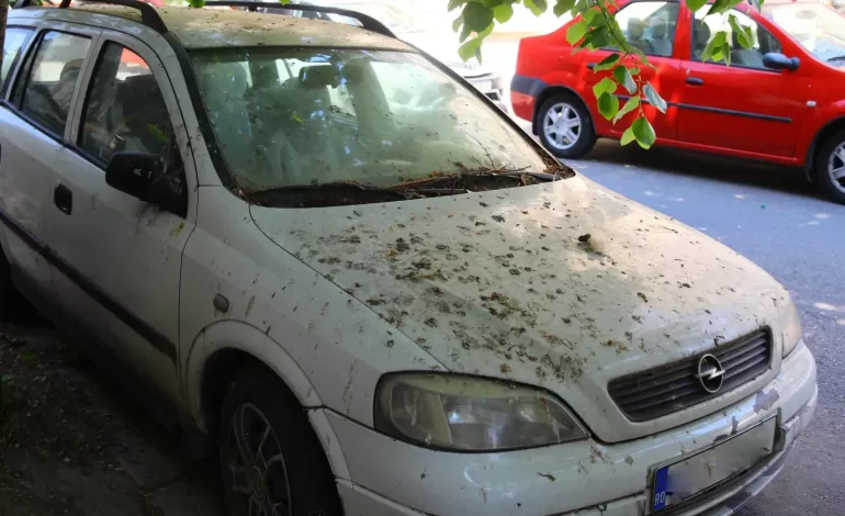 Foto: Primăria Municipiului Craiova continuă ridicarea autovehiculelor abandonate pe domeniul public